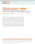 Cover page: Ultrasensitive photodetectors exploiting electrostatic trapping and percolation transport