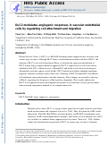 Cover page: DLC2 modulates angiogenic responses in vascular endothelial cells by regulating cell attachment and migration