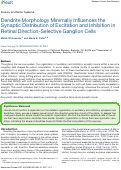 Cover page: Dendrite morphology minimally influences the synaptic distribution of excitation and inhibition in retinal direction selective ganglion cells