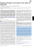 Cover page: Mapping proteolytic neo-N termini at the surface of living cells