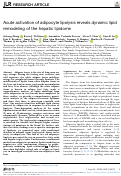 Cover page: Acute activation of adipocyte lipolysis reveals dynamic lipid remodeling of the hepatic lipidome