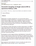 Cover page: Dynamic imaging of single microvilli in opossum kidney cells