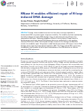 Cover page: RNase H enables efficient repair of R-loop induced DNA damage