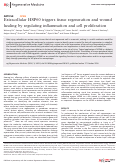 Cover page: Extracellular HSP60 triggers tissue regeneration and wound healing by regulating inflammation and cell proliferation