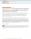 Cover page: Author Correction: Puma genomes from North and South America provide insights into the genomic consequences of inbreeding