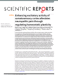 Cover page: Enhancing excitatory activity of somatosensory cortex alleviates neuropathic pain through regulating homeostatic plasticity