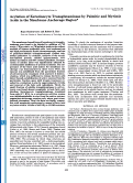 Cover page: Acylation of keratinocyte transglutaminase by palmitic and myristic acids in the membrane anchorage region