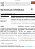 Cover page: Diurnal, physics-based strategy for computationally efficient capacity-expansion optimizations for solar-dominated grids