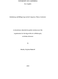 Cover page: Identifying and Filling Gaps in the Conspiracy Theory Literature