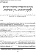 Cover page: Successful Fluorescence-Guided Surgery on Human Colon Cancer Patient-Derived Orthotopic Xenograft Mouse Models Using a Fluorophore-Conjugated Anti-CEA Antibody and a Portable Imaging System
