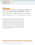 Cover page: 14-3-3 proteins activate Pseudomonas exotoxins-S and -T by chaperoning a hydrophobic surface