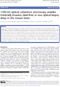 Cover page: 1700 nm optical coherence microscopy enables minimally invasive, label-free, in vivo optical biopsy deep in the mouse brain