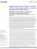 Cover page: Antibacterial potency of type VI amidase effector toxins is dependent on substrate topology and cellular context