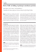 Cover page: Role of YidC in folding of polytopic membrane proteins