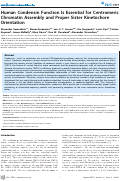 Cover page: Human Condensin Function Is Essential for Centromeric Chromatin Assembly and Proper Sister Kinetochore Orientation