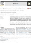 Cover page: Renal Subcapsular xenografing of human fetal external genital tissue - A new model for investigating urethral development.