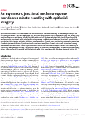 Cover page: An asymmetric junctional mechanoresponse coordinates mitotic rounding with epithelial integrity