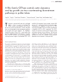 Cover page: A Rho family GTPase controls actin dynamics and tip growth via two counteracting downstream pathways in pollen tubes