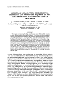 Cover page: MOLECULAR LOCALIZATION, DEVELOPMENTAL EXPRESSION AND NUCLEOTIDE SEQUENCE OF THE ALPHA-METHYLDOPA HYPERSENSITIVE GENE OF DROSOPHILA
