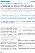 Cover page: Global identification and characterization of transcriptionally active regions in the rice genome.