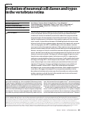 Cover page: Evolution of neuronal cell classes and types in the vertebrate retina.