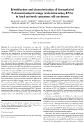 Cover page: Identification and characterization of dysregulated P-element induced wimpy testis-interacting RNAs in head and neck squamous cell carcinoma