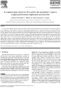 Cover page: A compact gene cluster in Drosophila: the unrelated Cs gene is compressed between duplicated amd and Ddc