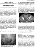 Cover page: Emphysematous Cystitis