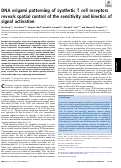 Cover page: DNA origami patterning of synthetic T cell receptors reveals spatial control of the sensitivity and kinetics of signal activation