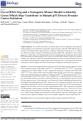 Cover page: Use of RNA-Seq and a Transgenic Mouse Model to Identify Genes Which May Contribute to Mutant p53-Driven Prostate Cancer Initiation