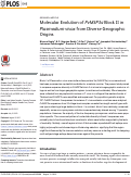 Cover page: Molecular Evolution of PvMSP3α Block II in Plasmodium vivax from Diverse Geographic Origins