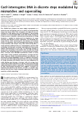 Cover page: Cas9 interrogates DNA in discrete steps modulated by mismatches and supercoiling.