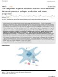 Cover page: DDR2-regulated arginase activity in ovarian cancer-associated fibroblasts promotes collagen production and tumor progression.