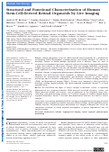 Cover page: Structural and Functional Characterization of Human Stem-Cell-Derived Retinal Organoids by Live Imaging