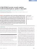 Cover page: A Rab10:RalA G protein cascade regulates insulin-stimulated glucose uptake in adipocytes