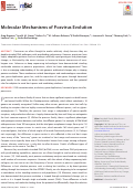 Cover page: Molecular Mechanisms of Poxvirus Evolution