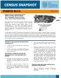 Cover page: Census Snapshot: Puerto Rico