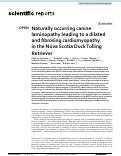 Cover page: Naturally occurring canine laminopathy leading to a dilated and fibrosing cardiomyopathy in the Nova Scotia Duck Tolling Retriever