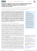 Cover page: Structural insights into the human PA28–20S proteasome enabled by efficient tagging and purification of endogenous proteins