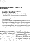 Cover page: Rhabdomyosarcoma: Advances in Molecular and Cellular Biology