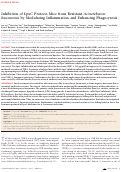 Cover page: Inhibition of LpxC Protects Mice from Resistant Acinetobacter baumannii by Modulating Inflammation and Enhancing Phagocytosis