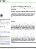 Cover page: Gβ Regulates Coupling between Actin Oscillators for Cell Polarity and Directional Migration