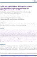 Cover page: Whole RNA-Sequencing and Transcriptome Assembly of Candida albicans and Candida africana under Chlamydospore-Inducing Conditions