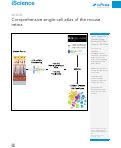 Cover page: Comprehensive single-cell atlas of the mouse retina.