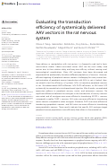 Cover page: Evaluating the transduction efficiency of systemically delivered AAV vectors in the rat nervous system.