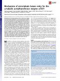 Cover page: Mechanism of microtubule lumen entry for the α-tubulin acetyltransferase enzyme αTAT1.