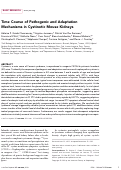 Cover page: Time Course of Pathogenic and Adaptation Mechanisms in Cystinotic Mouse Kidneys