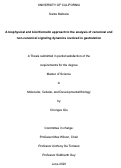 Cover page: A biophysical and bioinformatic approach to the analysis of canonical and noncanonical signaling dynamics involved in gastrulation.