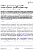 Cover page: Dendritic spine morphology regulates calcium-dependent synaptic weight change