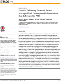 Cover page: Frataxin Deficiency Promotes Excess Microglial DNA Damage and Inflammation that Is Rescued by PJ34